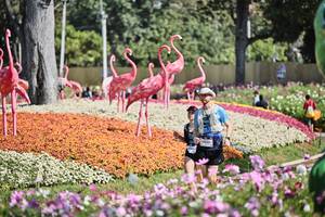 BIB: 
                            <button type="button" onclick="openModal(27793682)" class="btn btn-primary btn-sm float-right btn-popup" data-toggle="modal" data-target=".modal-high-quality">
                        <i class="fas fa-shopping-cart"></i> Add to Cart
                    </button>
                                            <button type="button" onclick="isThisMe(27793682, true)" class="btn btn-success btn-sm float-right btn-popup btn-isme hidden" data-toggle="tooltip" data-placement="bottom" title="นี่คือรูปของคุณใช่ไหม คลิกที่นี่เพื่อเอาเข้าอัลบั้ม">
                        <i class="fas fa-plus"></i> Add to album
                    </button>
                    <button type="button" onclick="isThisMe(27793682, false)" class="btn btn-warning btn-sm float-right btn-popup btn-isnotme hidden">
                        <i class="fas fa-ban"></i> Remove from album
                    </button>